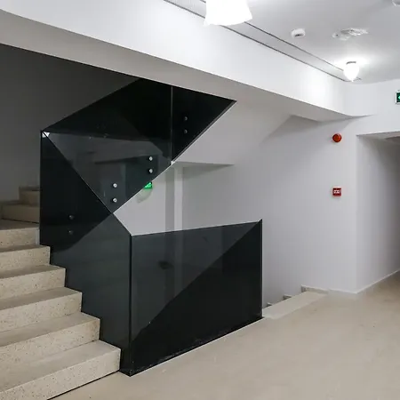Executive - Novum Politehnica