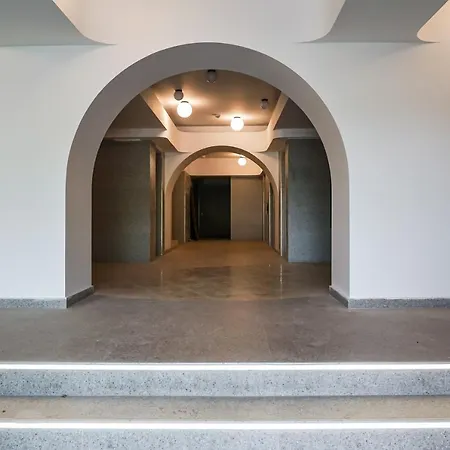 Executive - Novum Politehnica